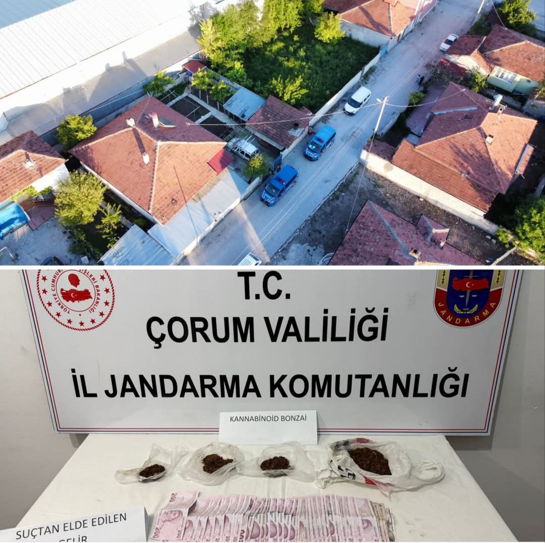 ALACA'DA UYUŞTURUCU OPERASYONU