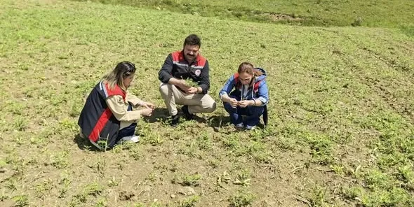 YERLİ VE MİLLİ NOHUT ÇEŞİDİ BORABAY, ÇORUM TOPRAKLARIYLA BULUŞTU