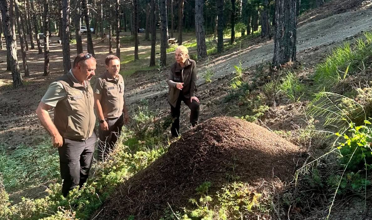 DKMP GENEL MÜDÜR YARDIMCISI TERZİOĞLU'NDAN ÇORUM'A ZİYARET